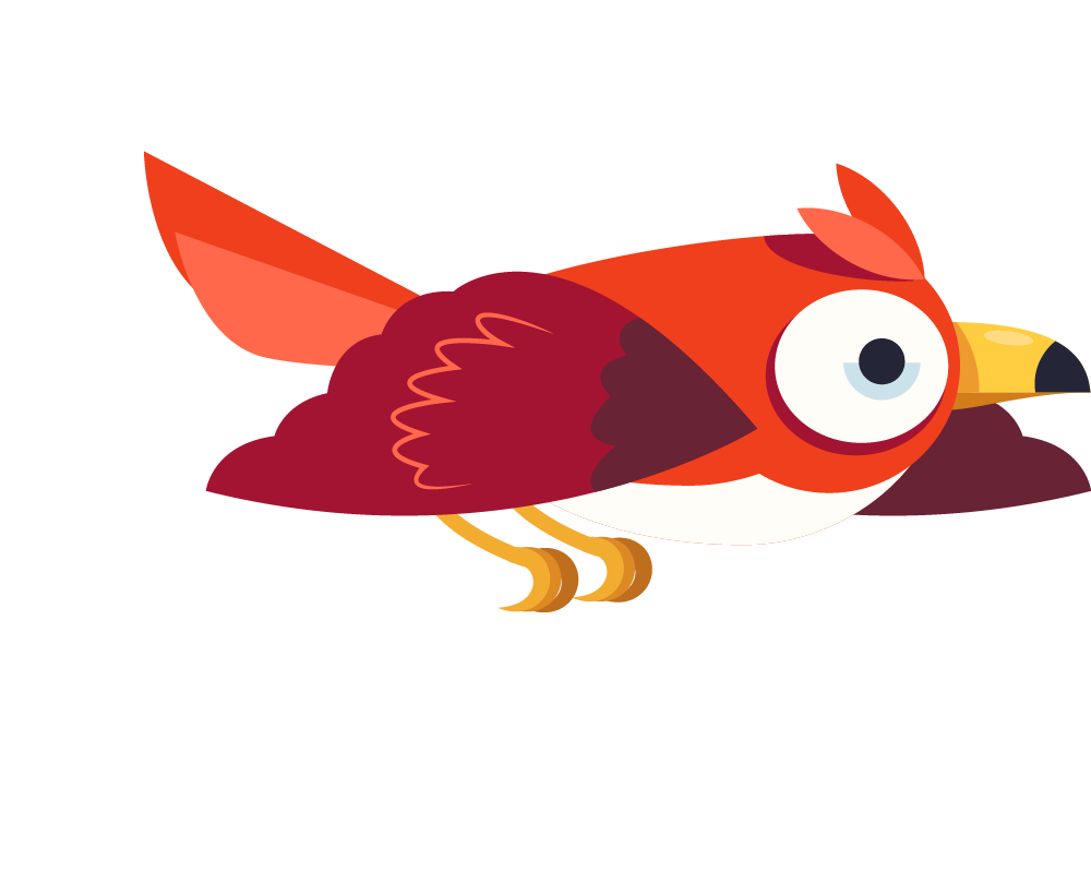 bird